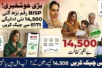 BISP 8171 Web Portal 2026 Check Rs14500 Ehsaas Program Payment Increase
