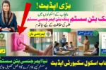 Pink Button Emergency System Launched in Punjab Schools Notification